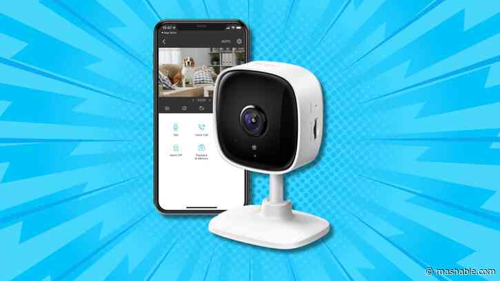 Grab the TP-Link Tapo indoor security camera for just $15 and keep an eye on your fur babies