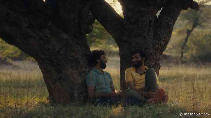 Cactus Pears review: An assured debut feature that subverts queer tropes