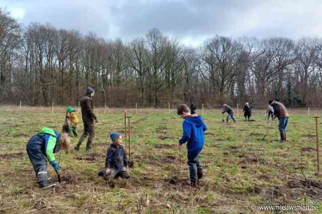 Nieuw bos van 1,6 hectare beplant met 4.300 bomen