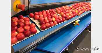 "Er is nu geen druk om appelen te exporteren"