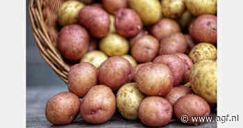Grote vraag naar Egyptische frietaardappelen