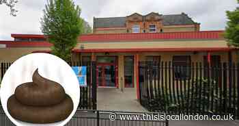 'It's like living in a slum': Parents despair at dog poo covered roads around school