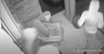 ‘A gun on my head’: Ontario family targeted by thieves twice in one month