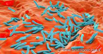 Lethal disease infections 'soar' in UK - map of hotspots