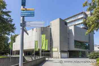 Voor deze grote rommelmarkt in het Citadelpark kan je ook VIP-tickets kopen