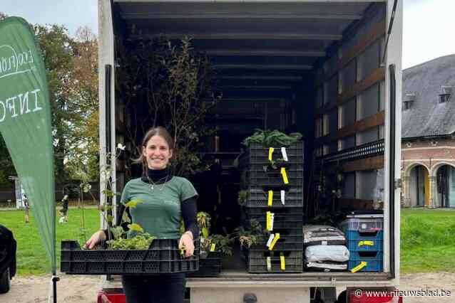 Kwekerij van “onkruid” organiseert maandelijks plantenafhaalpunt in drie grote steden: “Een duurzaam alternatief voor minder autoritten”