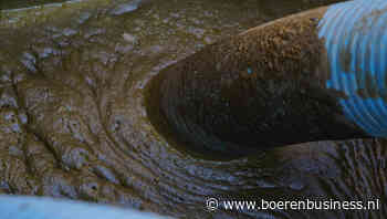 Verhitte mestmarkt wordt steeds meer een weermarkt