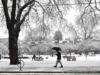 Several winter weather alerts issued for B.C.'s South Coast