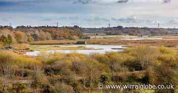 RSPB Burton Mere Wetlands cut opening hours of café and visitor centre