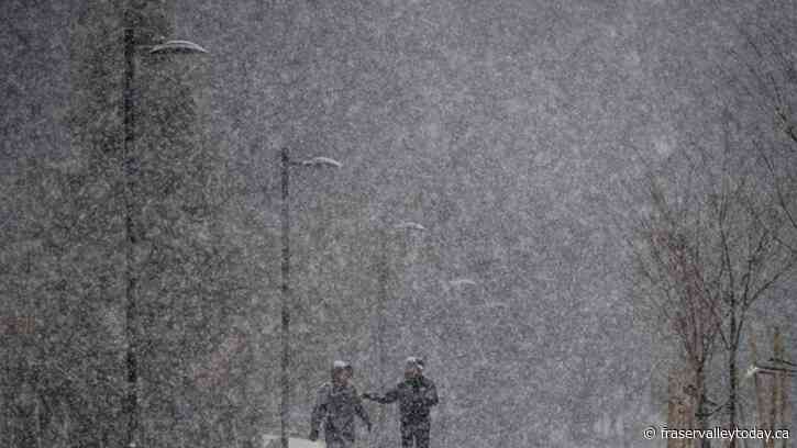 Environment Canada says snow ‘likely’ in many areas this weekend, including Chilliwack and Abbotsford