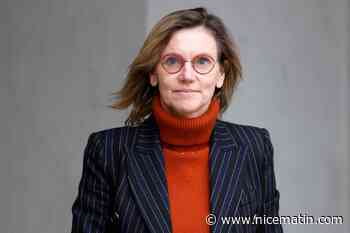 Transfert des dauphins de Marineland: le gouvernement veut bloquer leur transfert si certaines conditions ne sont pas respectées