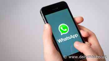 Whatsapp users sent urgent warning over popular feature as messaging app issue security update
