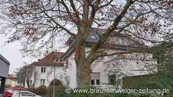 Braunschweig: Wie rettet man einen wunderschönen Baum?