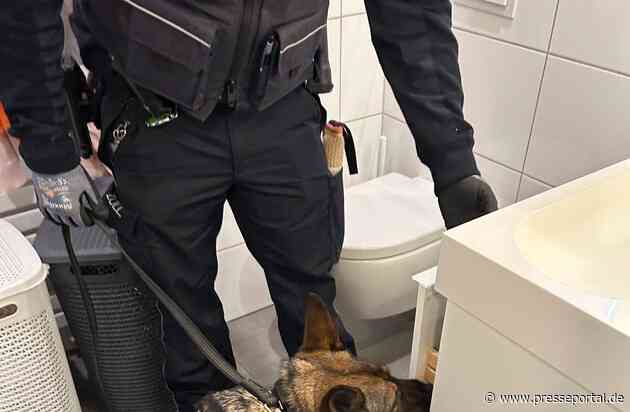 HZA-MS: Hauptzollamt Münster durchsucht Nagelstudio in Bocholt - vermuteter Gesamtschaden von rund 480.000 Euro / Zoll vollstreckt dreizehn Durchsuchungsbeschlüsse im Auftrag der Staatsanwaltschaft Münster