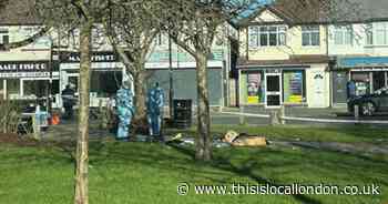 Forensic officers arrive at crime scene after boy, 17, stabbed in Carshalton