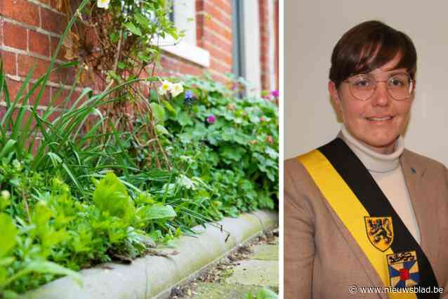 Inwoners kunnen peter of meter worden van plantvakken langs openbare weg: “Zo stimuleren we buurtbeheer”