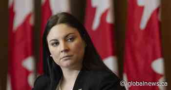 Fredericton MP Jenica Atwin says online hate helped push her out of federal politics