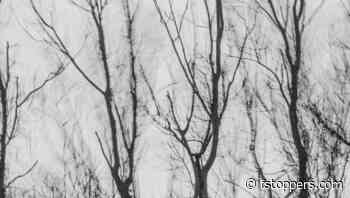 How You Can Become an Even More Fabulous Photographer