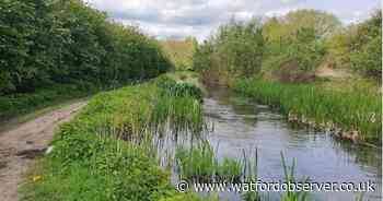 Project launched to restore section of 'globally rare' River Chess