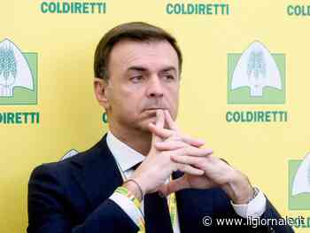 “I dazi sui fertilizzanti russi danneggeranno gli agricoltori italiani”. L'allarme di Coldiretti e Filiera Italia