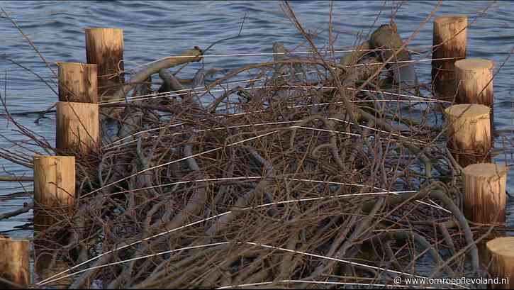 Swifterbant - Bisontocht krijgt speciale vissenbossen voor meer leven in het water