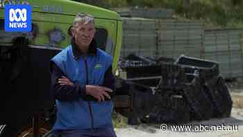 A mystery illness is wiping out millions of Tasmanian oysters