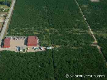 $5-million climate program to help B.C.’s tree fruit growers in extreme weather