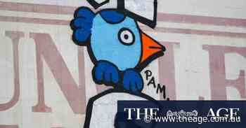 Criminal charges bring alleged ‘Pam the Bird’ artist back to earth