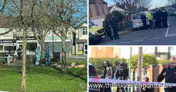 Leafy suburb swarmed by police in shocking morning of violence in Carshalton