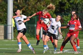 Club YLA B wil Zulte Waregem B verslaan en de koppositie afsnoepen: “De titel? Er zit totaal geen druk op de ketel”