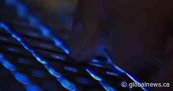Calgary police issue warning about a huge increase in cybercrime