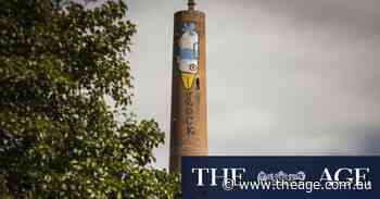 Criminal charges bring alleged solo ‘Pam the Bird’ artist back to earth