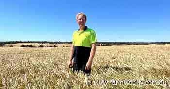 Neo CL barley performs onfarm and brings a paddock to plate opportunity
