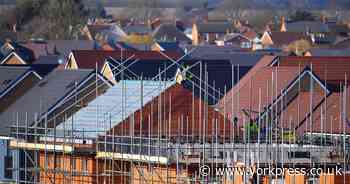 Build 75,000 homes in York and bring back trams, urges campaign group