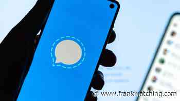 Van WhatsApp naar Signal: waarom stapt Nederland massaal over?