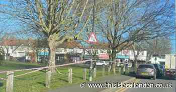 Boy, 17, fighting for life in hospital after stabbing in Carshalton