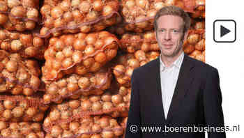 Laat je niet voor de gek houden op de uienmarkt