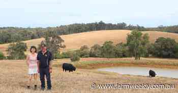 'Growth is profit'is the mantra for Angus producers in the South West