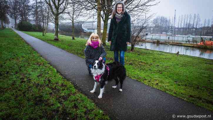 Dankzij Anja kan bordercollie Luna blijven wonen bij Thea: ‘Dat betekent veel voor mij’