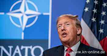 Grönland: Nato-Vertreter planen Angebot an Trump