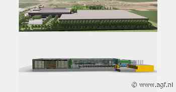 Structureel capaciteitsprobleem noopt MSP Onions tot bouw tweede, autonome uiensorteerfabriek
