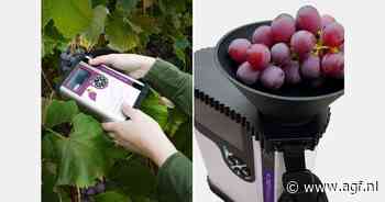 Nieuw instrument meet interne kwaliteit van druiven in enkele seconden