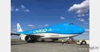 Schorsing KLM/Martinair-vluchten verstoort export Zimbabwe