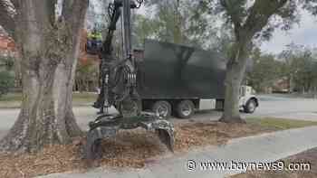 Hillsborough County completes storm debris removal