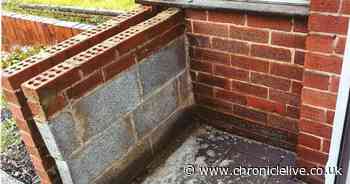 Pelaw rogue builder jailed for fraud after swindling 10 victims out of £44,000