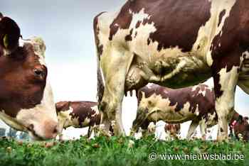 Mechels OCMW verkoopt voor bijna 3,4 miljoen euro landbouwgronden