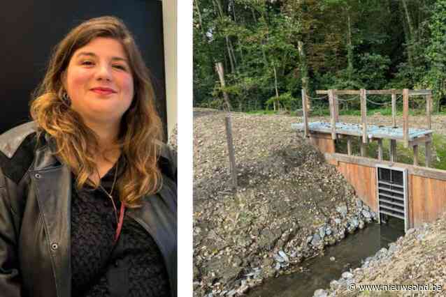 Stad wil twee afvalwaterlozingspunten afsluiten, “Maar we staan nu al aan top op vlak van rioolaansluitingen”