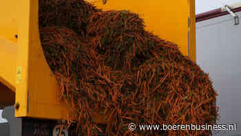 Rustige peenhandel wacht op omslagpunt