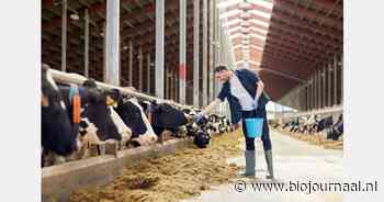 Helft veehouders heeft geen kloppende vergunning