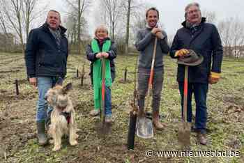 Landschapsbufferpark krijgt vorm: “Kom mee een boom planten”